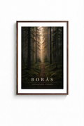 "BORÅS" POSTER